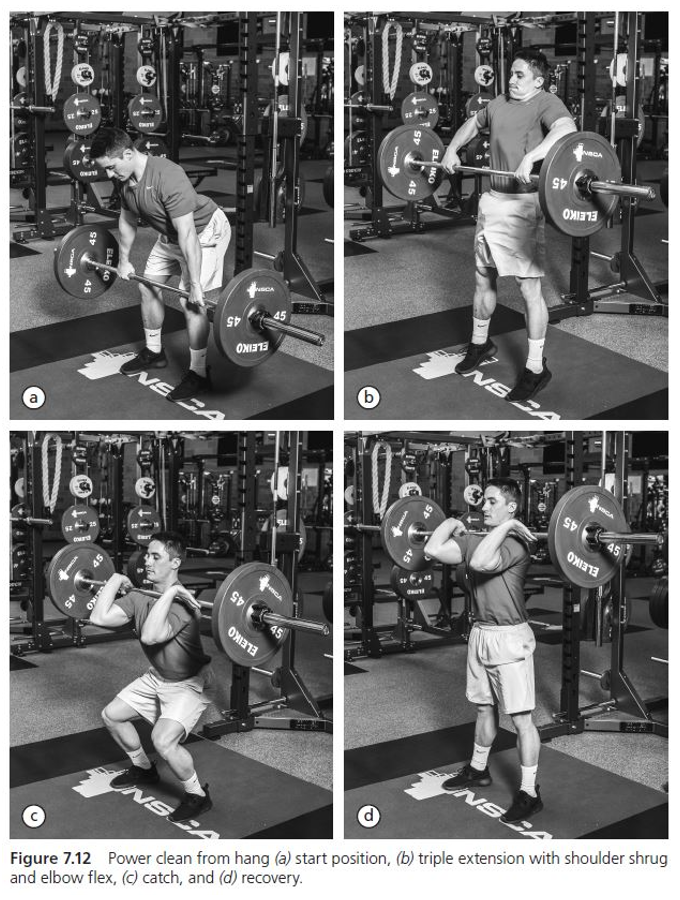 Figure 7.12 Power clean from hang (a) start position, (b) triple extension with shoulder shrug and elbow flex, (c) catch, and (d) recovery.
