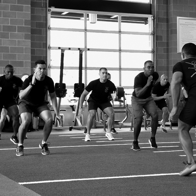 TSAC training image
